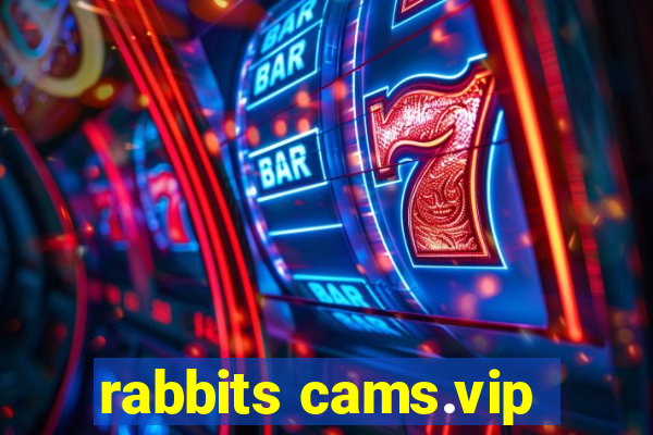 rabbits cams.vip